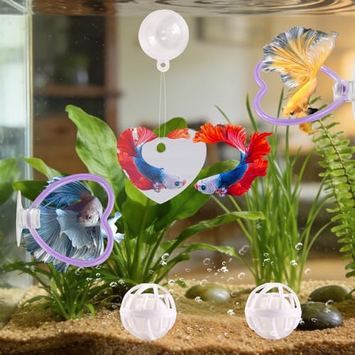 Betta Fish Toys, 2 PCS Heart Fish Exercise Ring and Nitrifying Balls Set, Heart Betta Mirror Toy Set, Feeding Ring with Suction Cup, Fishing Tank Accessories for Gifts (Purple) - color: Purple Heart