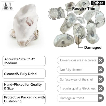 20PCS 3"-4" Medium Oyster Shells for Crafts, Concave Shells, Hand-Selected, Cleaned & Odorless Craft Oyster Shells for Coastal Art Projects, Painting, DIY, Wedding Decor, Decoupage - size: Medium 3"-4" 20pcs