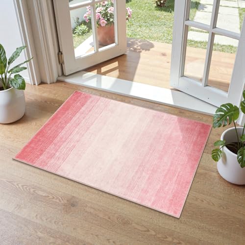 Wonnitar Modern Ombre Small Rug, 2x3 Pink Bathroom Rugs, Contemporary Kitchen Rugs and Mats Washable, Non-Slip Soft Gradient Bedroom Accent Throw Floor Carpet for Bedside Bath Dorm (Pink, 2'x3') - color: Pink, size: 2' x 3' (Rectangular)