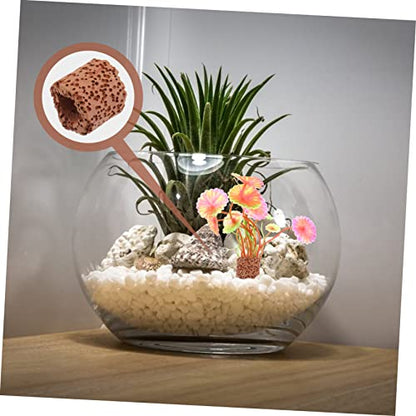 WOONEKY 10pcs Fixed Ring for Water Plant Floating Aquarium Plant Holder Suitable for Fish Tank Decoration Aquatic Fixed Cup for Easy and Landscape Design
