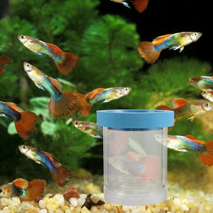 ORFOFE 2pcs Aquarium Breeding Box Floating Incubator Fish Tank Isolation Box Plastic Hatchery Nursery for Guppy Fry and Small Fish