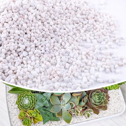 CJGQ 7lb 1/4" Small White Rocks for Plants,Potting,Succulents Aquarium Fish Tank Garden Vases Decorative Pebbles Gravel Rocks Stones - color: white, size: 7lb