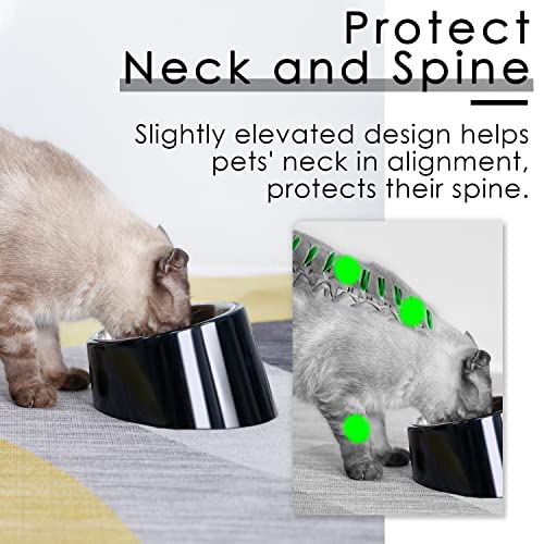 SUPERDESIGN Anti-Vomiting 15° Slanted Pet Bowl, M/1 Cup, Black | 15° Tilted, Anti-Vomit & Neck Relief, Non-Slip Base, Detachable Stainless Steel Liner, Dishwasher Safe, for Cats & Dogs - color: Dark Black, size: M/1 Cup