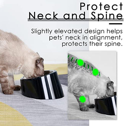 SUPERDESIGN Anti-Vomiting 15° Slanted Pet Bowl, M/1 Cup, Black | 15° Tilted, Anti-Vomit & Neck Relief, Non-Slip Base, Detachable Stainless Steel Liner, Dishwasher Safe, for Cats & Dogs - color: Dark Black, size: M/1 Cup