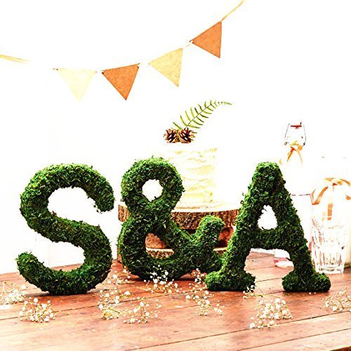 Roll of Green Moss for Fairy Gardens Wedding Other Arts and Crafts (10x120cm (4" W x 48" L)) - size: 10x120cm (4" W x 48" L)
