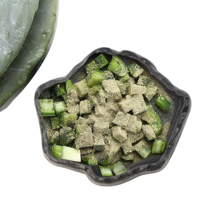 Flylin Reptile Water Dish, Reptile Feeding Dish Corner Bowl (Small) | Terrarium species hydration container, Light tone shade ware, Stable basin non slip base, Captive habitat supply - size: Small