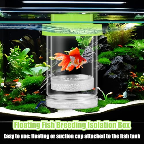 Beeveer 2 Pcs Breeder Box for Fish Tank Aquarium Breeder Separation Net Breeding Box with Suction Cup for Small Fish Shrimp Clownfish Guppy(Green,M)