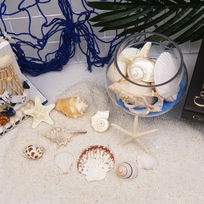 JQAQJU Sea Shells Mixed Ocean Seashells 20 Kinds, Starfish Seashells for Crafts, Various Sizes Natural Conch Sea Shells for Decorating, DIY Crafts, Vase Filler, Beach Party, Fish Tank, Home Wedding