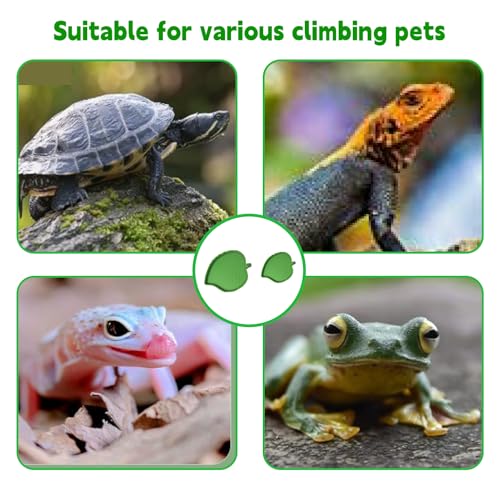 2PCS Reptile Food Water Bowl, Leaf Shape Dish for Tortoise Lizard Gecko | leaf-shaped plastic bowls (2 sizes),durable&bite-resistant.Shallow edges for easy access,easy to clean.For turtles,lizards