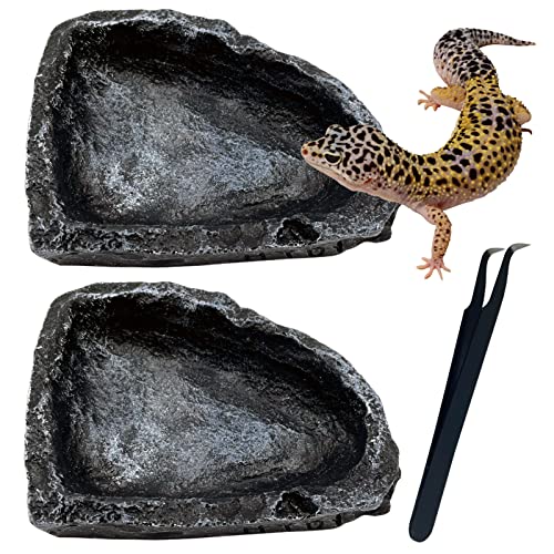 Reptile Feeding Dish 2 Pack Food Dish with Breadworm Feeding for Dragon Leopard Gecko Lizard Spider Scorpion Chameleon (2 Pcs, Deep Color) - color: 2 Pcs deep color