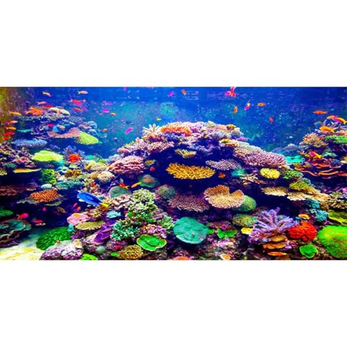 Undersea Aquarium Background 30x18 in Coral Tropical Fish Tank Backdrop | AWERT Colorful Fish Underwater World Background, Vinyl - size: 30x18in/75x45cm