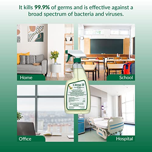 Citrus II Hospital Germicidal Deodorizing Cleaner - Fresh Citrus Scent - Disinfecting Spray Cleaner - 22 Fl Oz - Pack of 3