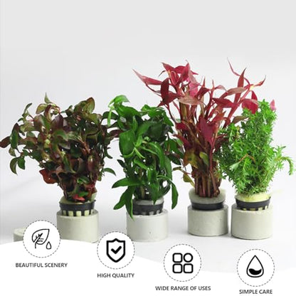 Aquatic Plants Fixed Set 5pcs Aquarium Plant Weights Pot and 5pcs Planting Cup with 5pcs Fixing Cottons Aquarium Accessories (15)
