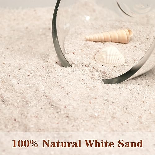 Silica Gravel, Multi-Purpose Mini White Silica Sand for Fire Pits, Aquariums and Landscaping, 5LB - color: White Mini