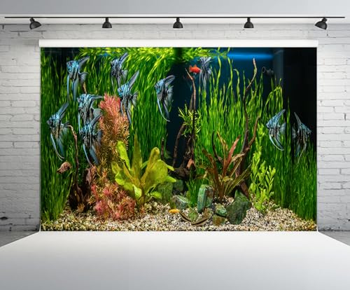 10x6.5ft Fish Tank Backdrop Aquarium Underwater Grass Leaves Aquatic Plant River Stone Bed Lake Fish Background Diving Holiday Fishing Party Decoration Photo Props Wallpaper - size: 10x6.5FT