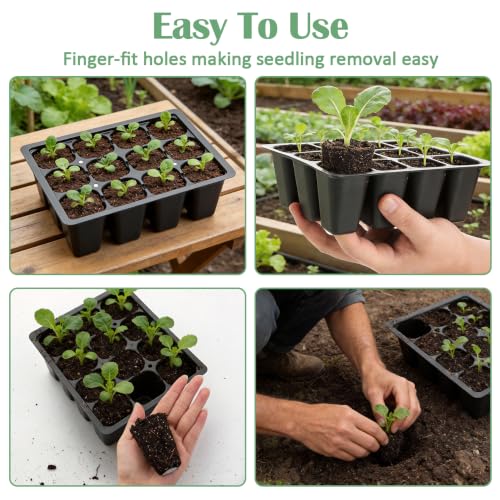RooTrimmer 60 Pack Reusable 12-Cell Seed Starter Tray, Plant Starter Trays with Large Drainage Holes for Seed Germination, Easy to Repotted, Fits Standard 1020 Flats and TD377 Trays, Black - color: Black, size: 12 Cells-60P