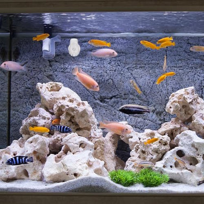 Garneck Glass Aquarium Fish Feeder Cup Worm Bait Container Fish Tank Feeding Cup for Aquarium Use