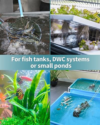 Pawfly Aquarium Air Stone 2 Inch Fish Tank Air Stone Bubbler Cylindrical Bubble Release Tool Oxygen Diffuser for Air Pump Fish Tank Bucket Small Pond and DWC System, 2 Pack - size: 2x2" (2 Pack)