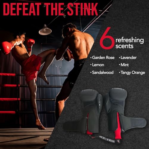 Ringside Equipment Deodorizer, Absorbs Unwanted Moisture, Odor Eliminator for Gym Bag, Bowling Bag, and Boxing Gloves, Shoe Deodorizer for Boxing and All Sports, Boxing Equipment, Sandal Wood
