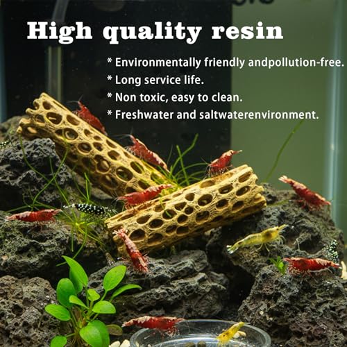 Natural Cholla Wood for Aquarium - 6 Inch Hollow Log Shrimp Hideout, Hermit Crab Climbing Toy, Realistic Driftwood Decor for Fish Tank, Reptile Terrarium Branch Ornament (2 Pack)