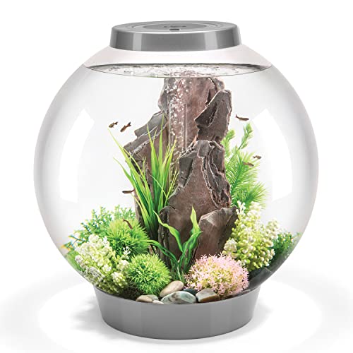 biOrb Classic 60 Acrylic 16-Gallon Aquarium with White LED Lights Modern Tank for Tabletop Display, Silver - color: Silver, size: 16 Gallon, style: LED Lighting