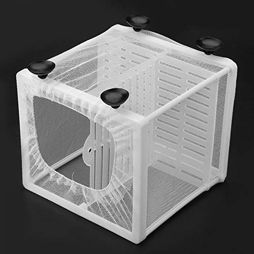Fish Breeder, Large Breeder Net with Suction Cups, Nylon Mesh Fish Fry Hatchery Isolation Box Separation Net for Fish, Plants, Shrimp on Aquarium Tank, 6.2 x 6.2 x 5.5in