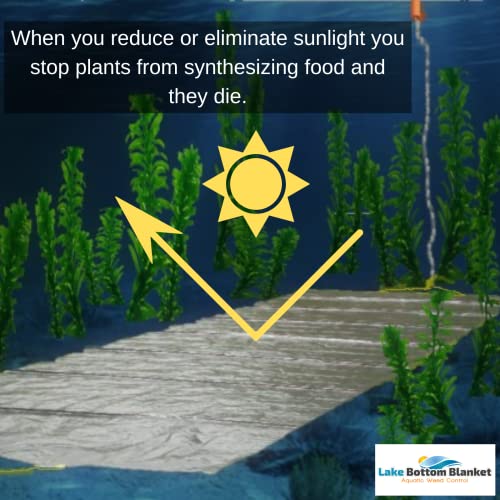 Aquatic Weed Control | Chemical-Free Vegetation Inhibitor for Lakes & Ponds | Benthic Barrier | Instant Weed Free Swimming (10.75 feet x 50 feet) - size: 10.75 feet x 50 feet