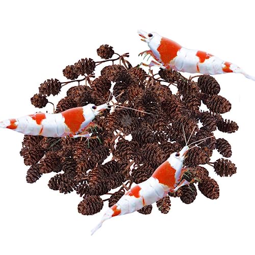 SunGrow Alder Cones for Shrimps, Water Conditioner for Freshwater Shrimp Tanks, Aquarium Decorations & Accessories (50 Pcs)