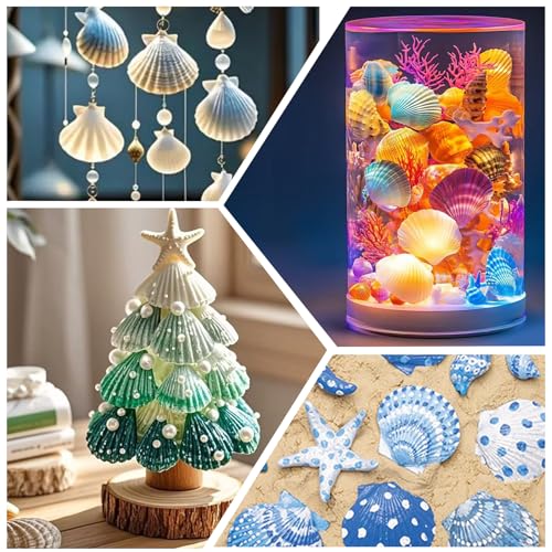 30PCS Natural Scallop Shells 2.3''-3'' White Sea Shells for DIY Craft Making, Hand Painting, Ocean Themed Party and Home Décor - size: L-30pcs
