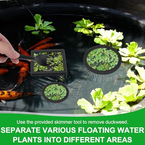 6PCS Aquarium Floating Plant Corral, Black EVA Fish Feeding Ring Set, Fish Tank Accessories for Mini Betta Tank, Floating Plants Holder|Feeder|Corral(3 Round + 3 Square) - style: 3 Round & 3 Square