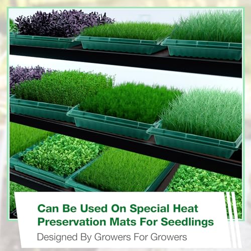 10 Pcs Seed Starter Kit 72 Cell Seedling Starting Trays and 1020 Trays No Holes Plant Growing Nursery Pots for Gardening Germination Propagation (Green)