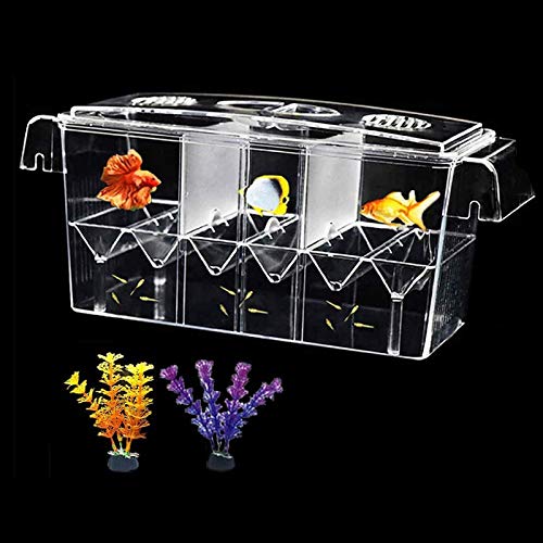 Tfwadmx Fish Breeding Box, 3 Rooms HD Aquarium Breeder Box with Suction Cups Hatchery Acrylic Fish Incubator Isolation with Artificial Plant for Guppy Hatchery - size: 3 Rooms