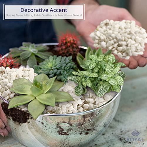 Royal Imports River Rocks, Aquarium Gravel – White 0.25" Gravel - 5 lbs | Decorative Ornamental Vase Filler Pebbles for Potted Plants, Terrariums, Vases, Succulents, Fish Tank Gravel, DIY & Crafting - size: 0.25" Gravel - 5 lbs, style: White