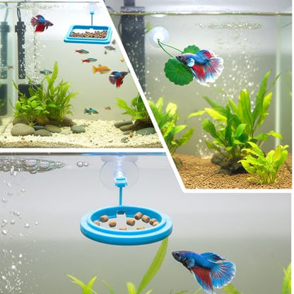2Pcs Fish Feeding Ring, 2 Feeding Ring for Tank with 1pcs Betta Fish Live Plant, Betta Feeder for Aquarium Decor, Goldfish Tank Accessories