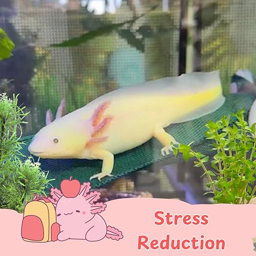 Axolotl Hammock for Aquarium and Ceramic Feeding Dish, Axolotl Hammock, Reptile Triangle Hammocks with Tray Feeder, Axolotls Accessories for Tank, Bearded Dragon Tank Accessories (Black, M) - size: M
