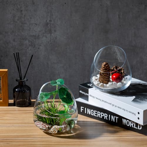 MyGift 5 Inch Premium Clear Glass Air Plant Terrarium, Mini Candy Bowl Jar, Tealight Candle Holder, Succulent Cactus Plant Vase, Set of 2 - size: Set of 2