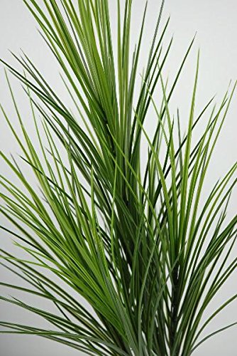 Richland Tall PVC Grass 32" Set of 6 - color: Green, size: 32'' (Set 6)