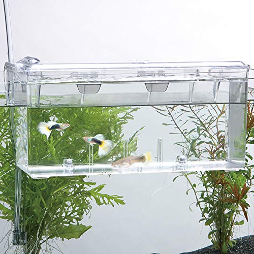 External / Hang On Plastic Aquarium Fish Breeding Box Satellite L (new)