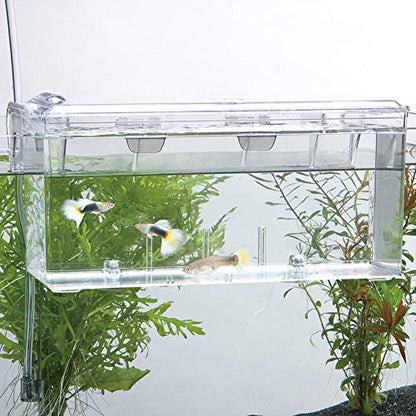 External / Hang On Plastic Aquarium Fish Breeding Box Satellite L (new)