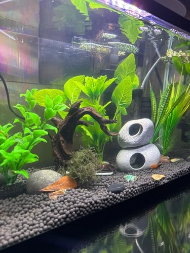 Aquarium Driftwood Decor Set - 1 Anubias Resin Model & 3Pcs Small Natural Driftwood 2-4 inch for Aquascaping, Fish Tank Landscape Design