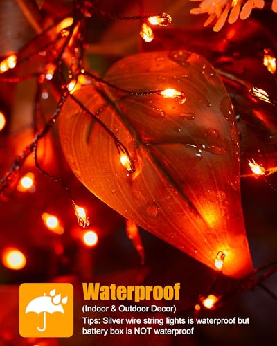 Minetom Fairy Lights Battery Operated, Twinkle String Lights 5ft 60LED - color: Orange