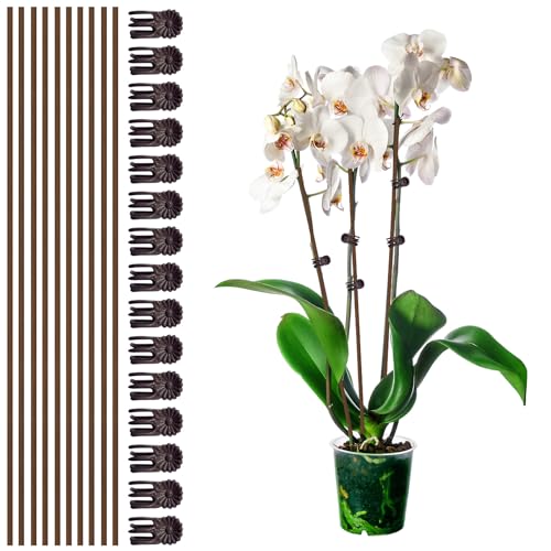10Pcs Plant Support Stakes with 15Pcs Plant Clips, 15.75inch Tall Bendable Single Stem Sticks Orchid Clips Brown Helps Growth for Indoor Outdoor Flowers Rose Amaryllis - color: 25pcs