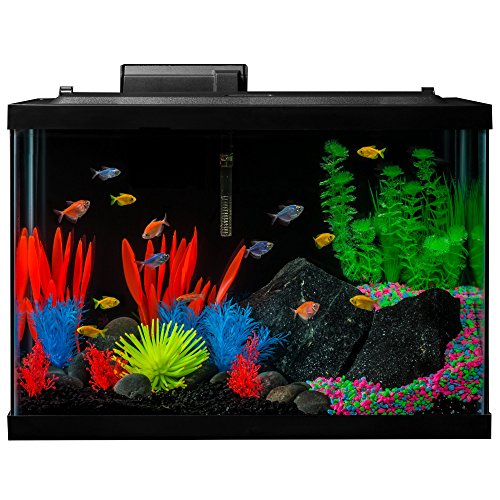 GloFish 20 Gallon Aquarium Kit with LED Lights, Decor Heater and Filter - size: 20-gallon kit