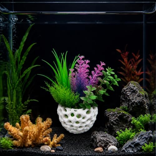 2PCS Shrimp Hides for Aquarium, Shrimp Hide and Aquarium Shrimp Hideout, Cave with Suction Cup for Shrimp Tank Decor, Hiding and Resting Accessory