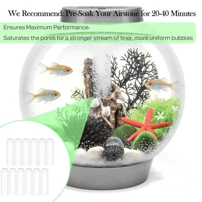 Filter Replacement Kit Compatible with BiOrb Aquariums: Foam and Carbon Rings Filter with Air Stone - 10 Carbon, 10 Foam, 10 Air Stones (30 Pack)
