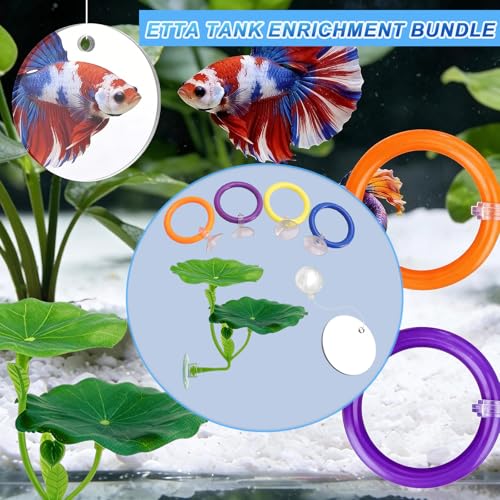 6 Pcs Betta Fish Toys, 4 Betta Rings, 1 Aquatic Plant & 1 Training Mirror, Betta Enrichment Toys for Betta Tank, Aquarium Interactive Play