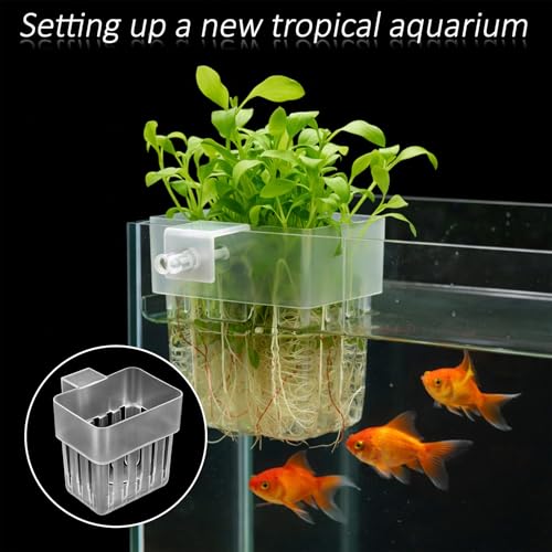 2 PCS Clear Aquarium Plant Holder Top Hanging Fish Tank Plant Pot Aquarium Cultivation Aquascape Planter Cups with Hooks Screws for Water Landscape Feature Decorations, Fits up to 0.8in Edges