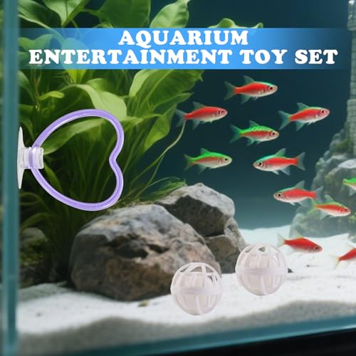 Betta Fish Toys, 2 PCS Heart Fish Exercise Ring and Nitrifying Balls Set, Heart Betta Mirror Toy Set, Feeding Ring with Suction Cup, Fishing Tank Accessories for Gifts (Purple) - color: Purple Heart