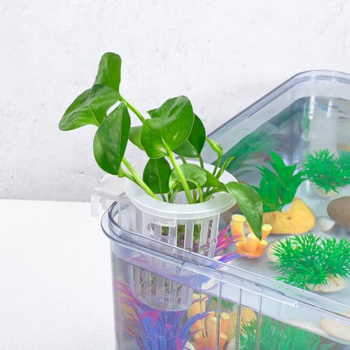 YARNOW 4Pcs Aquarium Plant Holder with Hooks - Hanging Hydroponic Pots for Aquarium, Fish Tank, Ideal for Plant Growth