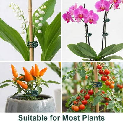 80 Pcs Standard Orchid Clips Plant Clips Flower Vine Dark Green | for Support Small Plant, Orchid Support Clip, for Climbing Plants, Garden Stem, Grow Upright